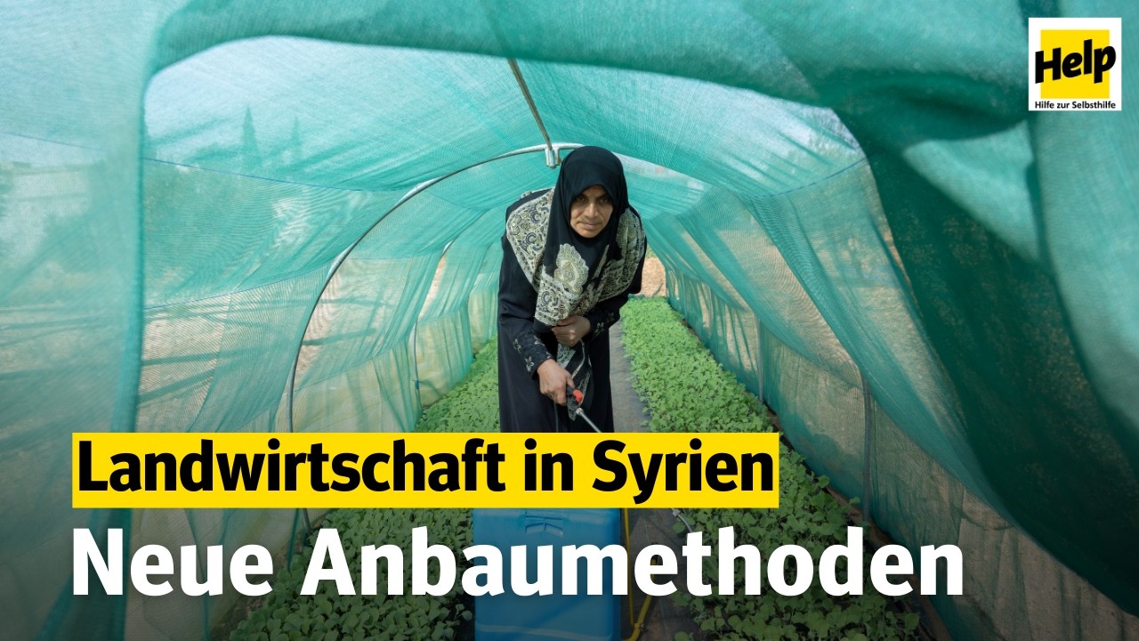Syrien: Landwirtschaft stärken für Unabhängigkeit und Resilienz