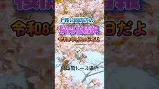 2026年、上野の桜開花情報です！
