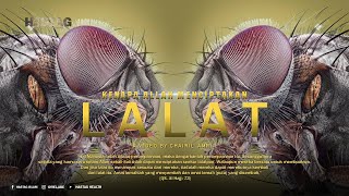 Download lagu KENAPA ALLAH MENCIPTAKAN LALAT JIKA TIDAK ADA MANFAATNYA mp3