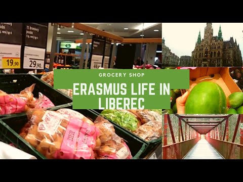 Grocery Shopping on a Snowy Day, Erasmus in Czech Republic|| Technical University of Liberec #3