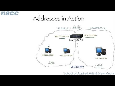 The Network IPv4 Address