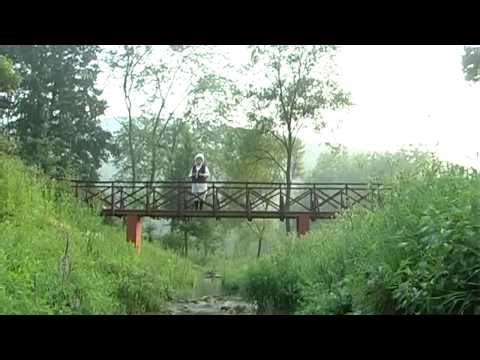 STANIŠA PAUNOVIĆ-ARHIV 2009.PE VALJE LA VALJE