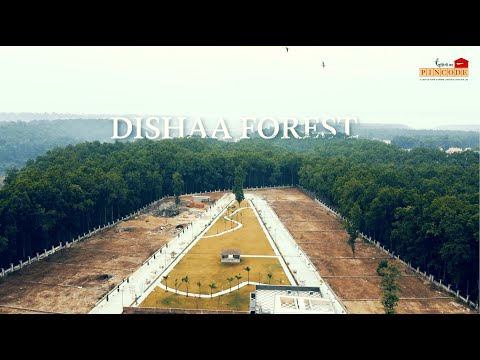 3D Tour Of Dishaa Forest