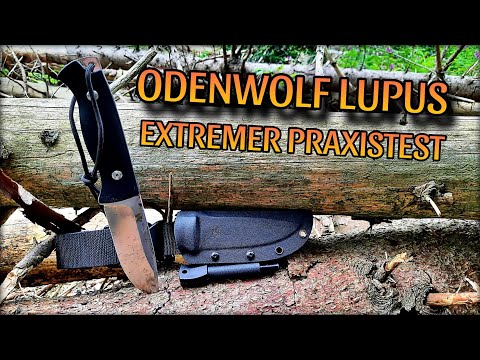 Odenwolf Lupus | Extremer Praxistest