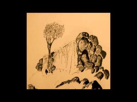 Upupa Epops Customer Nr2