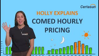 What is ComEd Hourly Pricing