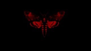 Lil Wayne ::2 Chainz :: Rich as F*** :: Lyrics :: Lyrics Vid #1