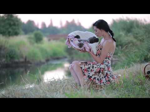 download lagu mp3 mp4 French Bulldog Washington State, download lagu French Bulldog Washington State gratis, unduh video klip French Bulldog Washington State