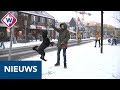 Dolle sneeuwpret, iedereen geniet - OMROEP WEST