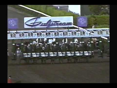1989 Breeders' Cup Classic - Sunday Silence + Pre & Post Race