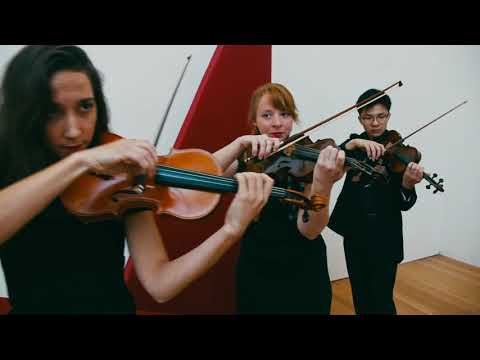 Video Outcomes video.