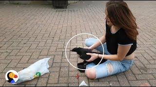 Crow Stuck in Garbage Rescued by AWESOME Woman | The Dodo