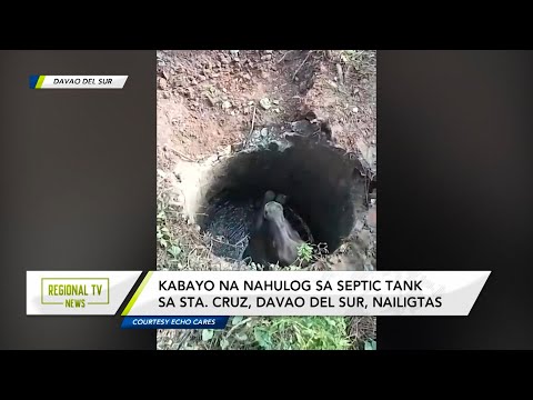 Regional TV News: Kabayong nahulog sa abandonadong septic tank, na-rescue