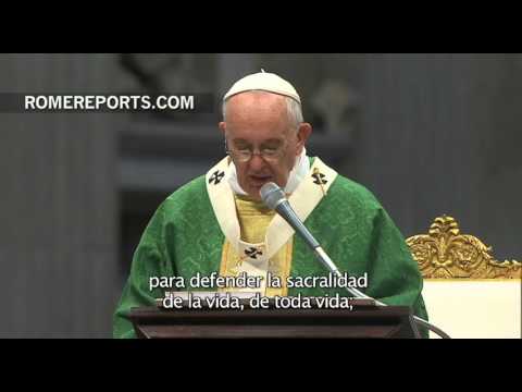 Francisco, ante el Sínodo