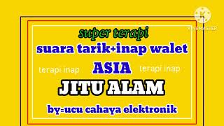 Download lagu suara inap tarik walet  terapi yang ampuh mp3