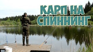 Можно ли карпа поймать на спиннинг