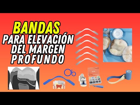 Bandas para elevación de margen 🦷