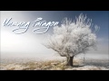 Common Market - Winter Takes All