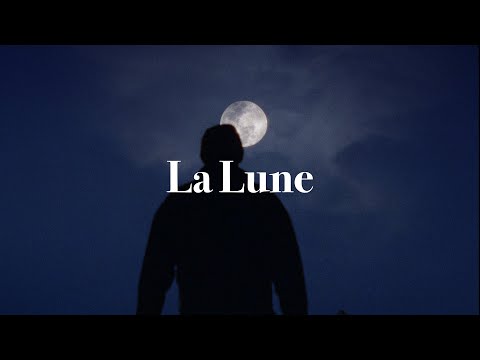 La Lune (dearMoon mission application by Eugen Evghenii Merher)