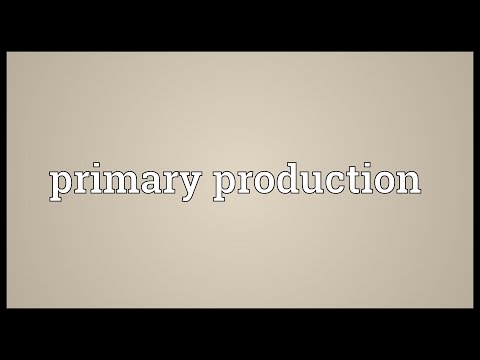 Primary production Meaning