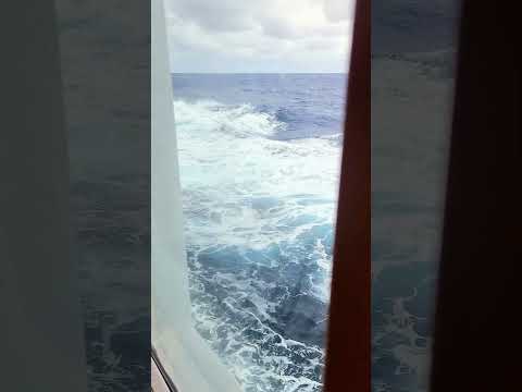 Thumbnail for This is Where I Belong 🌊 #OceanViews #CruiseLife #short