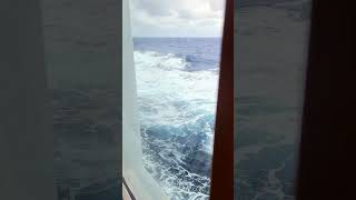 This is Where I Belong 🌊 #OceanViews #CruiseLife #short