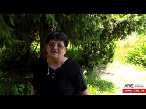 Parcul dendrologic Gurahont  2