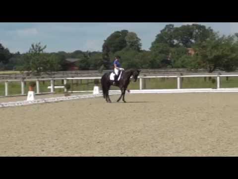 LOVELINESS & Charlotte Rummenigge - 2. Sichtung zur WM Junge Dressurpferde Verden 2014