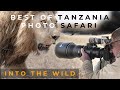 12 Day Best Of Tanzania Photo Safari Serengeti Ngorongoro Great Migration Photography