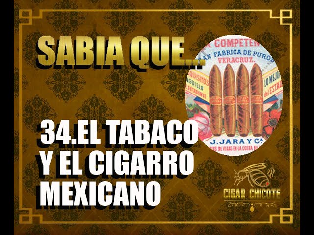 Vídeo relacionado con Tabacalera y el estanco del tabaco en España. 1636-1998