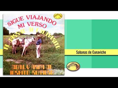 Sabanas De Cunaviche - El Carraro De Palmarito