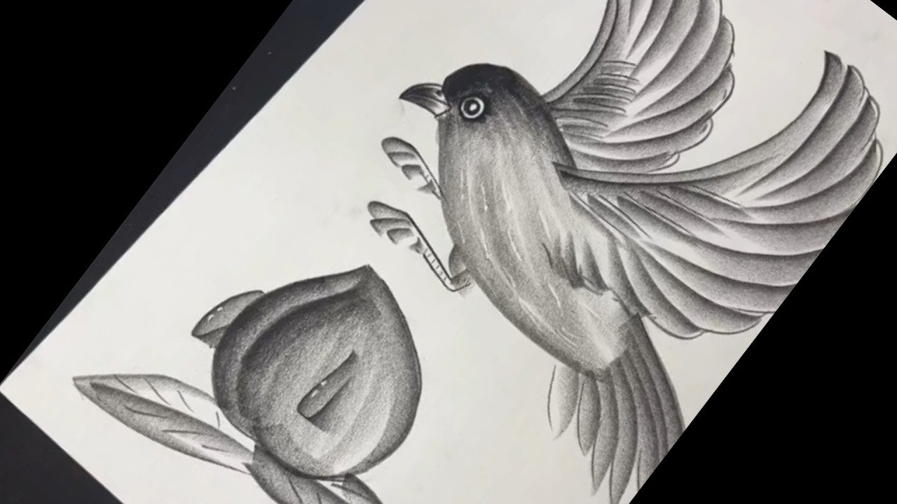 Realistic Bird Drawing Step by Step || Pencil Shading Technique