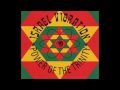 Israel Vibration Power Of Trinity Apple Vibes Full Album