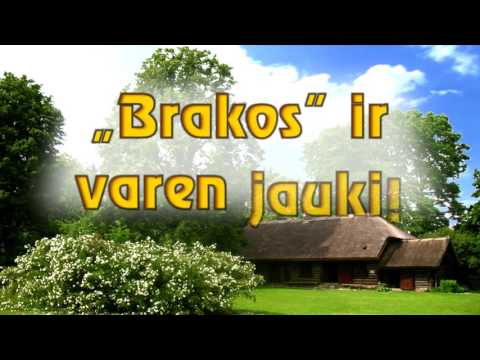 Zinta Saulīte ""Brakos" ir varen jauki" 2016