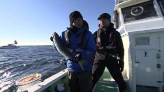 棒面丸のイメージ