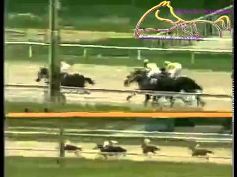 VALENCIA 7 CARRERA, VIERNES 05 DE JUNIO DEL 2015