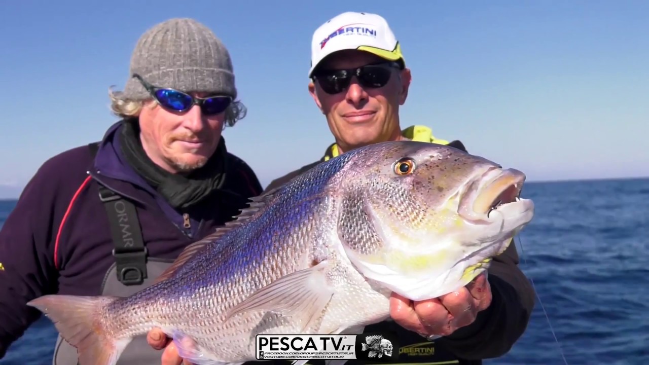 Come PESCARE Dentici e Prai con il calamaro vivo - Tubertini