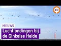 Indrukwekkend eerbetoon op de Ginkelse Heide bij Ede | Omroep Gelderland