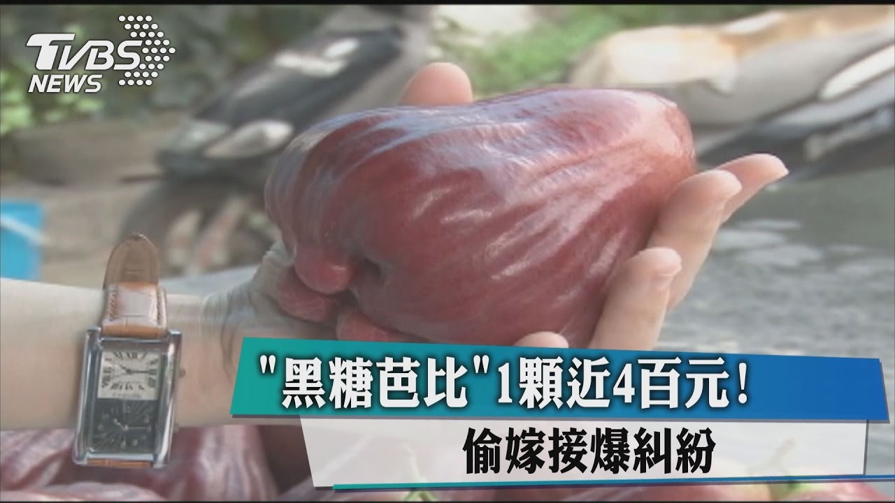 「黑糖芭比」1顆近400元！　偷嫁接爆糾紛