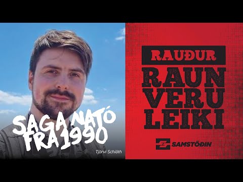 Rauður raunveruleiki – Saga Nató frá 1990 / Tjörvi Schiöth