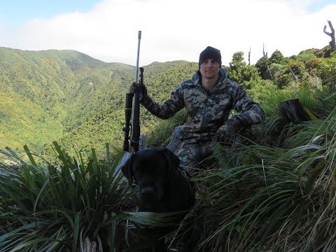 Red Deer Stakeout - Spring Hunting 2018