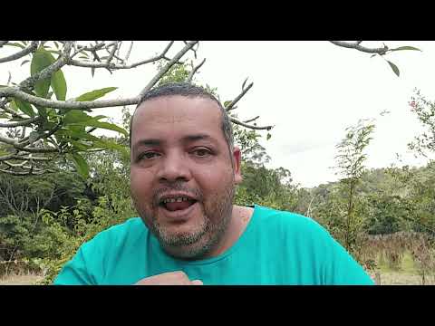 ASTROLOGICAL PROJECTION REPORTS - Wizard Near Death Discovers He's Got into a Mess - 1