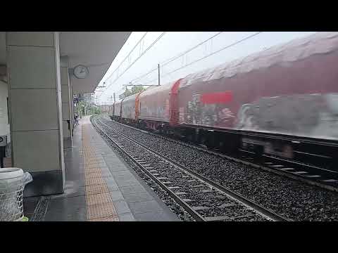 Tren de Marfa trece prin Statia Settimo Torinese 01.09.2025 