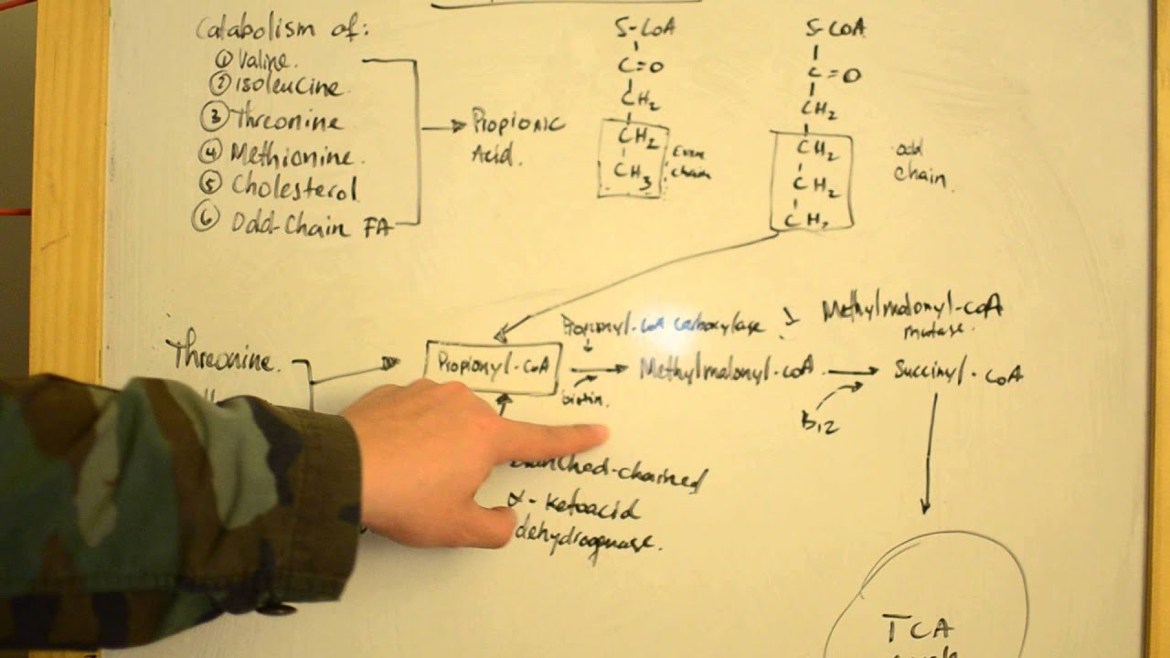 Proprionic Acidemia - Simplified Explanations for USMLE Step 1 - YouTube