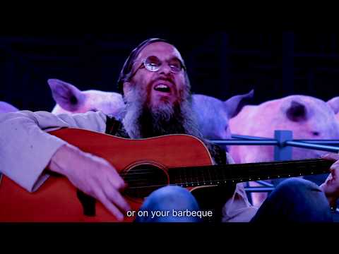 Jeff Simmonds - A Sad Song About Pigs in Cages (Red Beanbag Session #17)