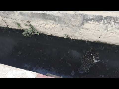 Änn & Fränn machen Quatsch, Inle-See