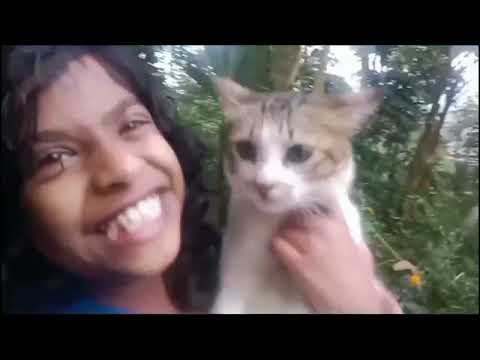 INTRODUCING DEVIKA 🐈😹