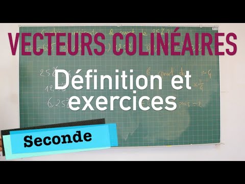 Collinear Vectors - Definition and Exercises
