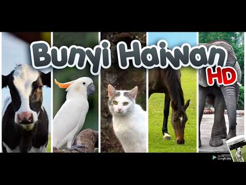 Bunyi haiwan untuk kanak kanak 2024