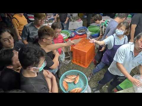 Kan Chaiding / Feng Lishi Lao Elogio de estimulación en el lugar #Kan Chaiding #Keelung Fish Market #fishmarket #seafood / Taiwan Fish Port / 대만 생선 항구